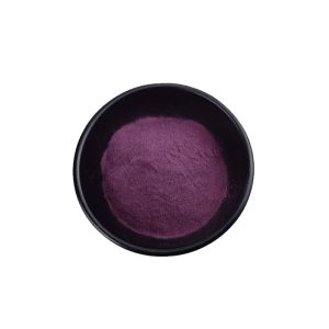 Blueberry Extract CAS 84082-34-8