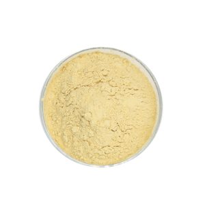 Yeast Extract CAS #8013-01-2