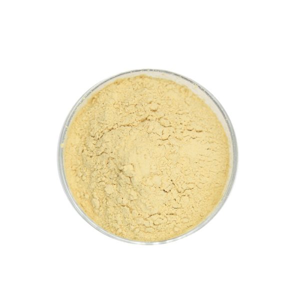 Yeast Extract CAS #8013-01-2