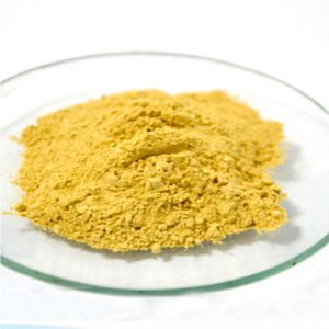 Ubidecarenone CAS#303-98-0